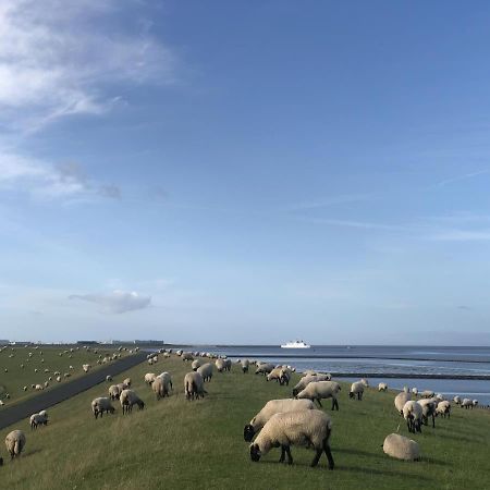 Wind Und Meer - Traumhaft An Der Nordsee Norddeich (Norden) Exterior foto