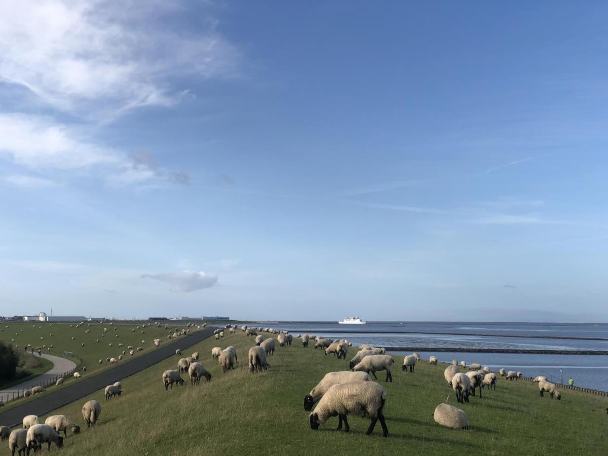 Wind Und Meer - Traumhaft An Der Nordsee Norddeich (Norden) Exterior foto